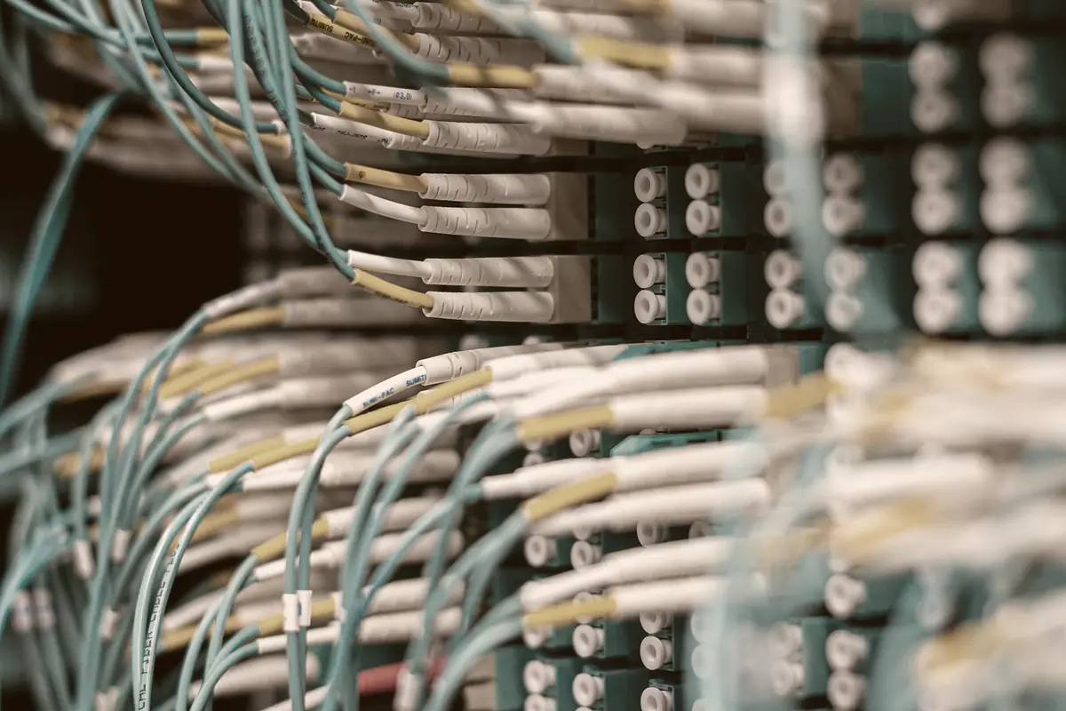 Patch cables running in dense rows into the ports of a network switch.